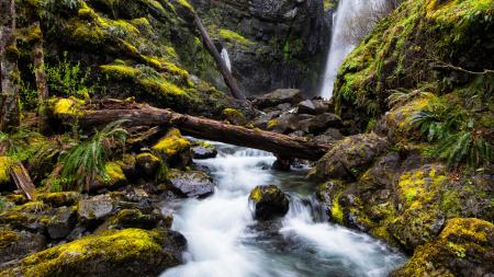 Waterfall River Photo Shot