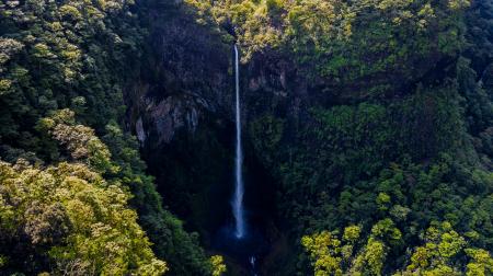 Waterfall Surrounded by Green Leaf Trees at Daytime