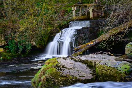 Waterfall Surrounded by Plants