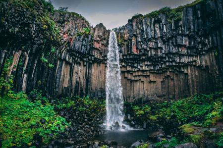 Waterfall Surrounded With Green Leaf Plant View