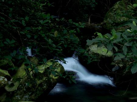 Waterfalls Near Green Leafed Plants