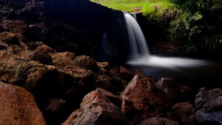 Waterfalls With Rocks in the Middle of Forest