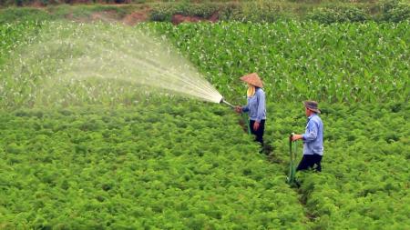 Watering the Field