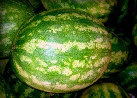 Watermelon