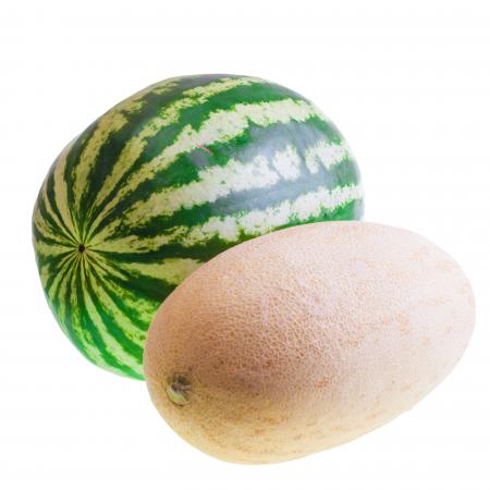 watermelon and melon