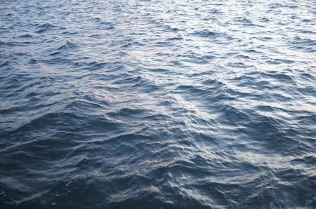 Waves on Lake Shinji, Japan