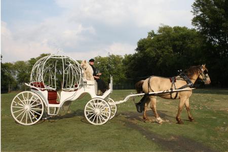 Wedding Carriage