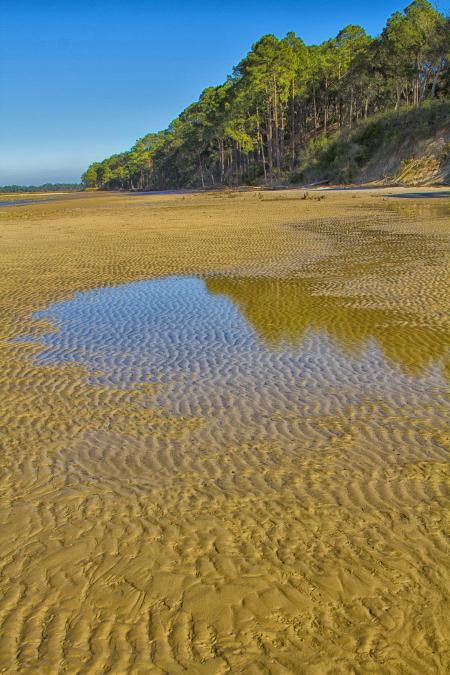 Wet Beach