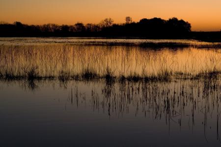 Wet Lands