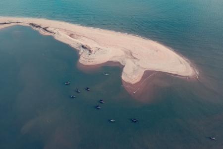 Whale Island Bird Eye Photography