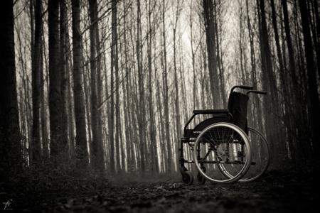 Wheelchair in the woods