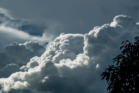 White and Blue Cloudy Sky and Silhouette of Tree Leaves