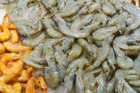 White and Pink Shrimp