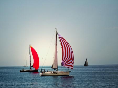 White and Red Cruiser Boats on Body of Water during Daytime