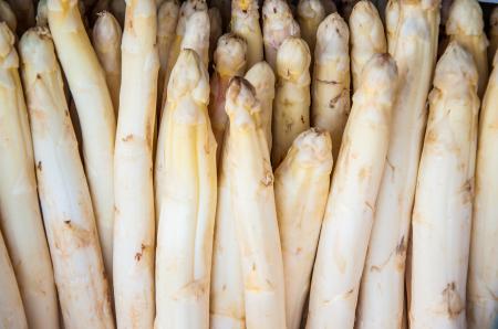White Asparagus