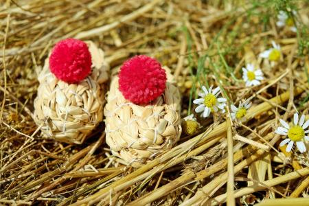 White Babys Breath Flower Beside Brown and Red Round during