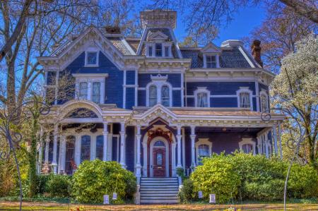 White Blue and Brown Painted House Near Green Plants