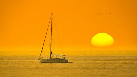 White Boat In The Middle Of The Sea During Sunset