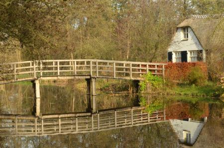 White Bridge over Body of Water Near House and Trees