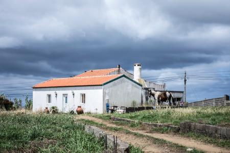 White Concrete House Surrounded by Green Grass