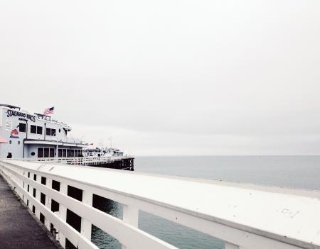 White Cruise Ship Near Concrete Dock on Body of Water Under White Cloudy Sky during Daytime