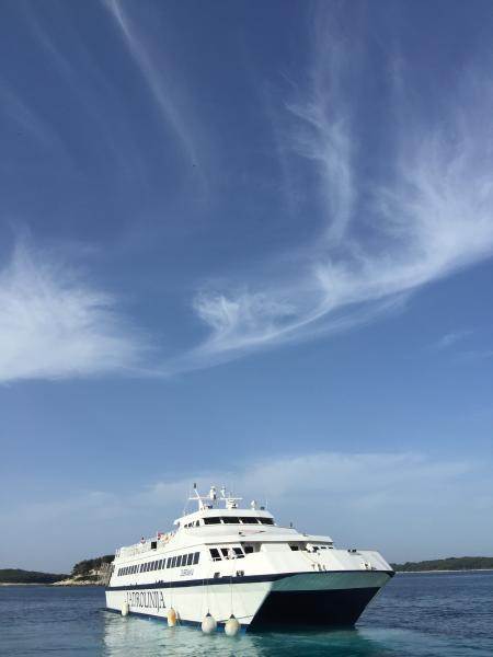 White Cruiser Ship on Body of Water during Daytime