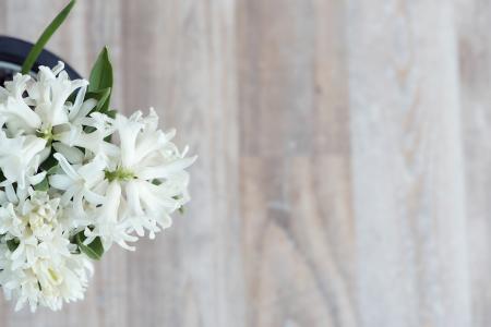 White Flowers