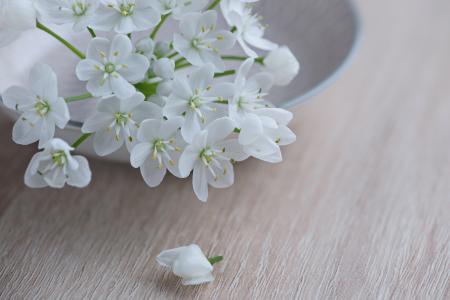 White Flowers