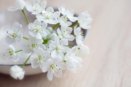 White Flowers