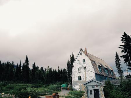 White Gray House Beside Tree's during Daytime