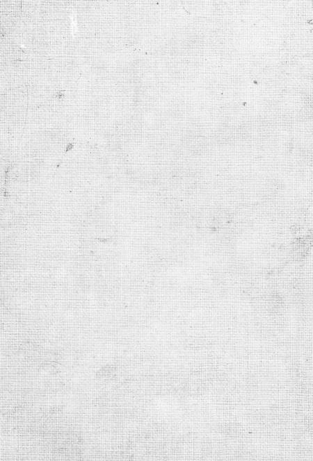 White Grunge Texture