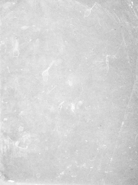 White Grunge Texture