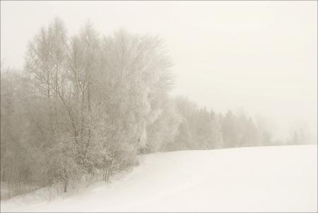 White Landscape