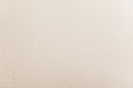 White Paper Texture