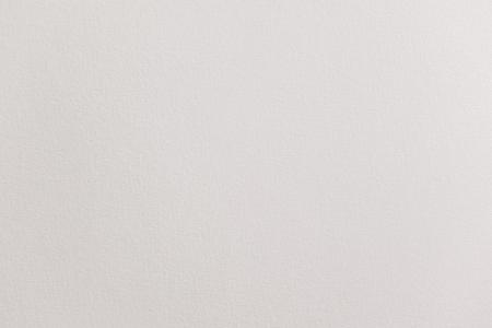 White Paper Texture