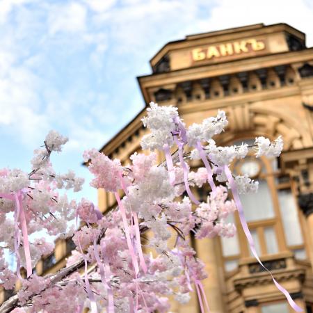 White Petal Flower Tree