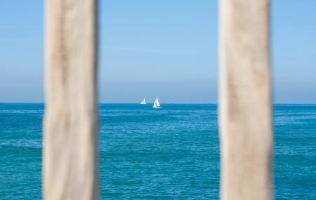 White Sailing Boat on Body of Water