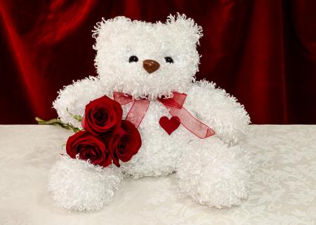 White teddy bear with red roses