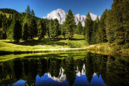 Wild Reflection in the Lake