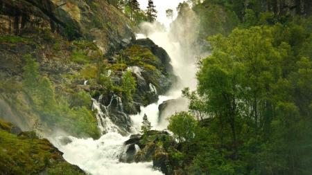 Wild Waterfall