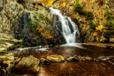 Wild Waterfall