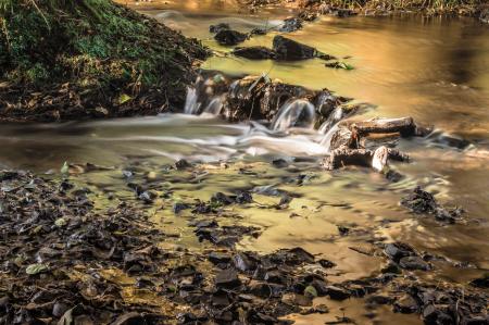 Wild Waterfall