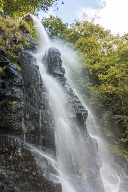 Wild Waterfall