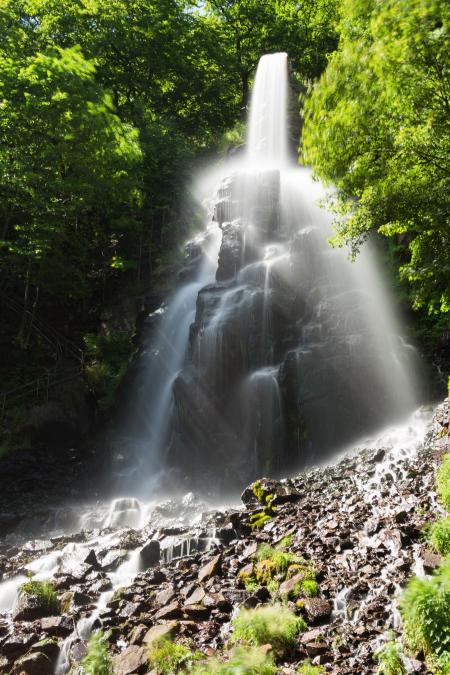 Wild Waterfall