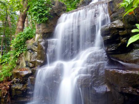 Wild Waterfall