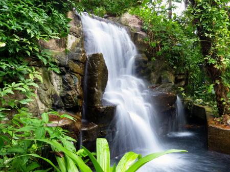 Wild Waterfall