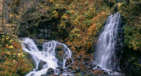 Wild Waterfall