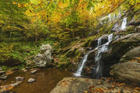 Wild Waterfall