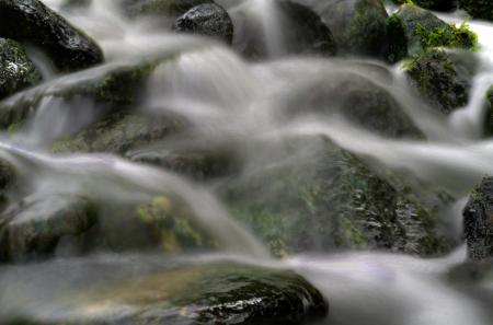 Wild Waterfall