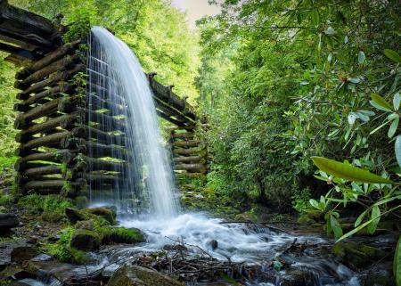 Wild Waterfall